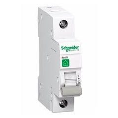 Schneider 1P C50A kismegszakító