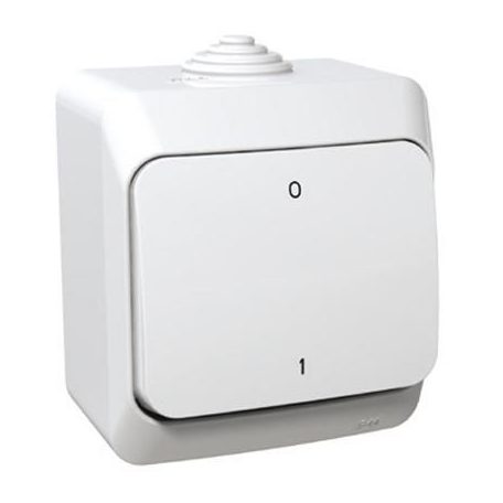 CEDAR PLUS 102 KÉTPÓLUSÚ KAPCS.IP44