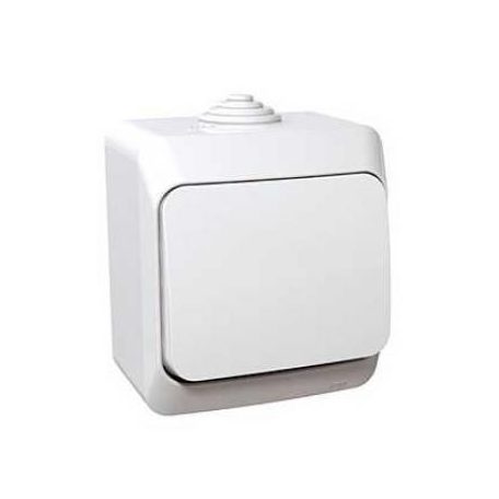 CEDAR PLUS N101 EGYPÓLUSÚ NYOMÓ IP44