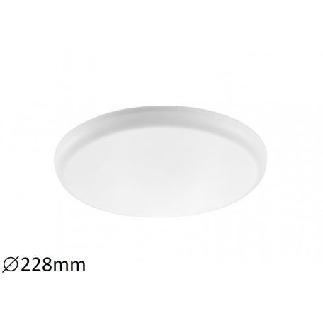 OLEG5370