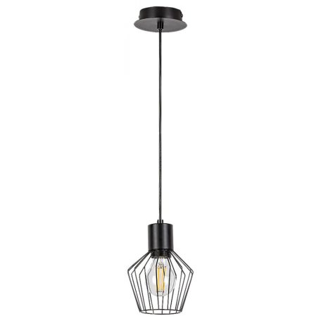 BELANO3539