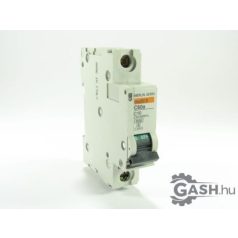 Kismegszakító, Merlin Gerin C60a C10 23850 multi9