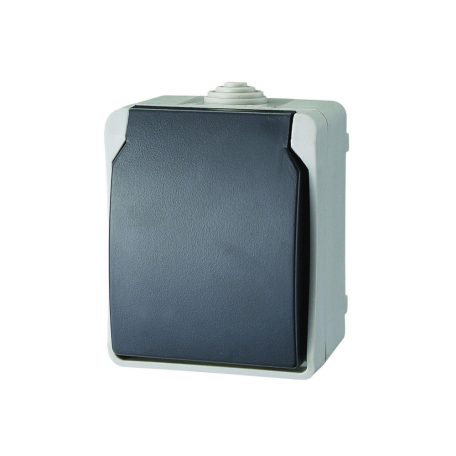 AQUATOP 9870H falon kívüli váltókapcsoló, 10 A, IP54, szürke