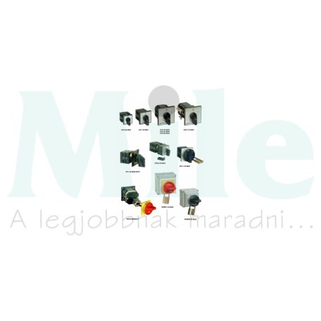 Szakaszoló főkapcsoló 20A 3P 690V tokozott ajtókupplungos forgatóhajtás KKMS0-20-9022 Ganz KK 3SC9022EL00S25