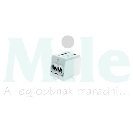 Fővezetéki leágazókapocs 1P HLAK 70-1/2