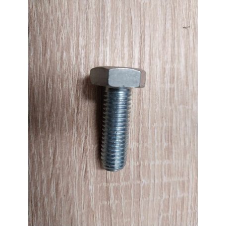 Hatlapfejű csavar M 10 x 30