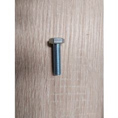 Hatlapfejű csavar M 8 x 30