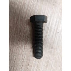 Hatlapfejű csavar M 10x45