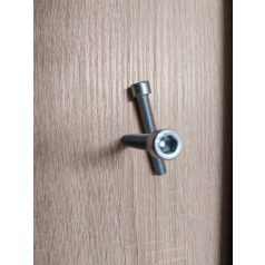 Imbuszcsavar M 8 x 50