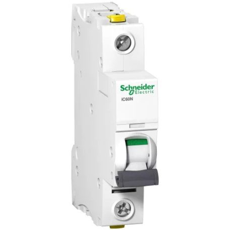 Schneider DCK12573 1P C20A kismegszakító