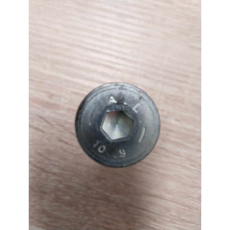 Imbuszcsavar M10x50